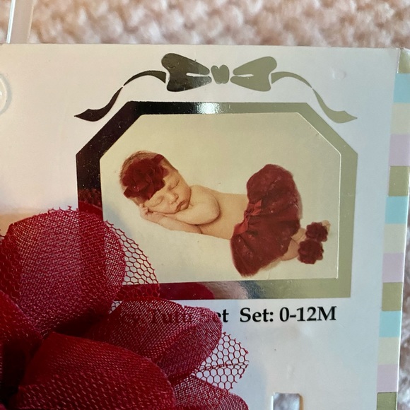 SOLD ❌GORGEOUS Burgundy Tutu Photo Op Set - Picture 2 of 4